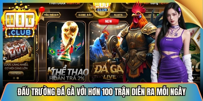 Đấu trường đá gà với hơn 100 trận diễn ra mỗi ngày